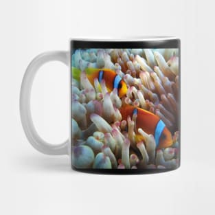 fish Mug